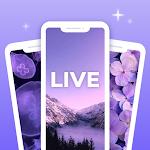 Wallpaper Store