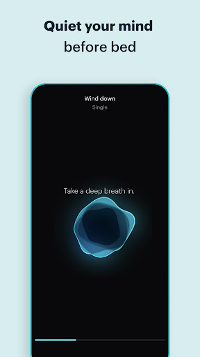 screenshot22