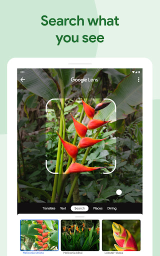 screenshot2
