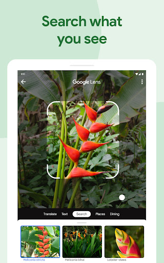screenshot9