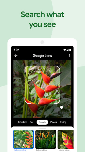 screenshot19