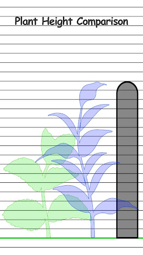 screenshot2