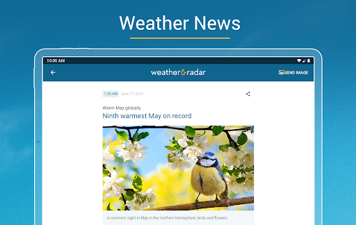 screenshot8